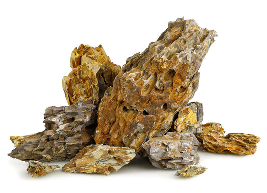 Ohko Dragon Stone 10–50cm (Per lb)