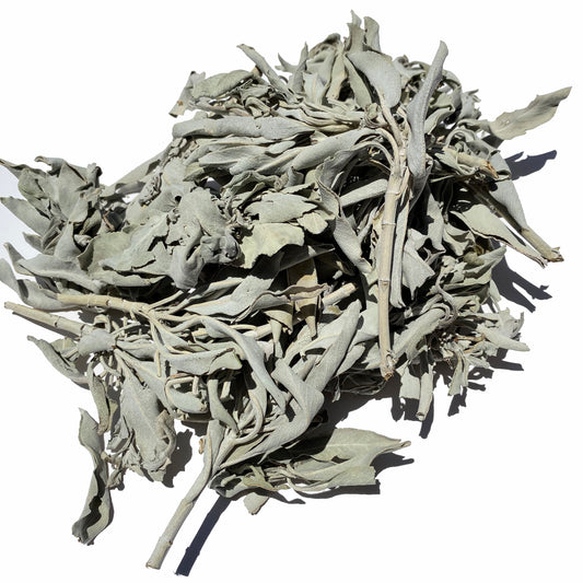 WHITE Buffalo SAGE CLUSTERS - 1 lb BAG with Header Smudge Supplies