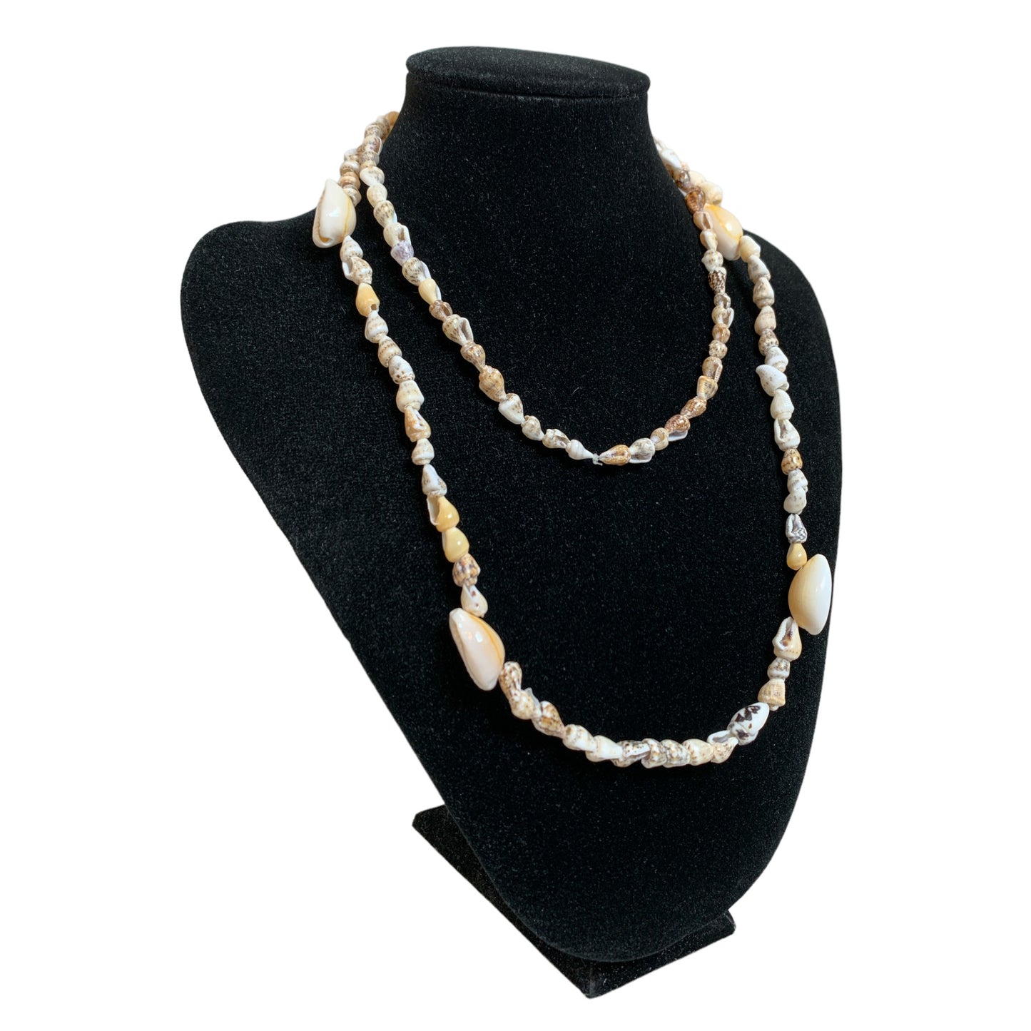 NASSA SHELL and Cowrie Bead NECKLACE 34-36 Inches