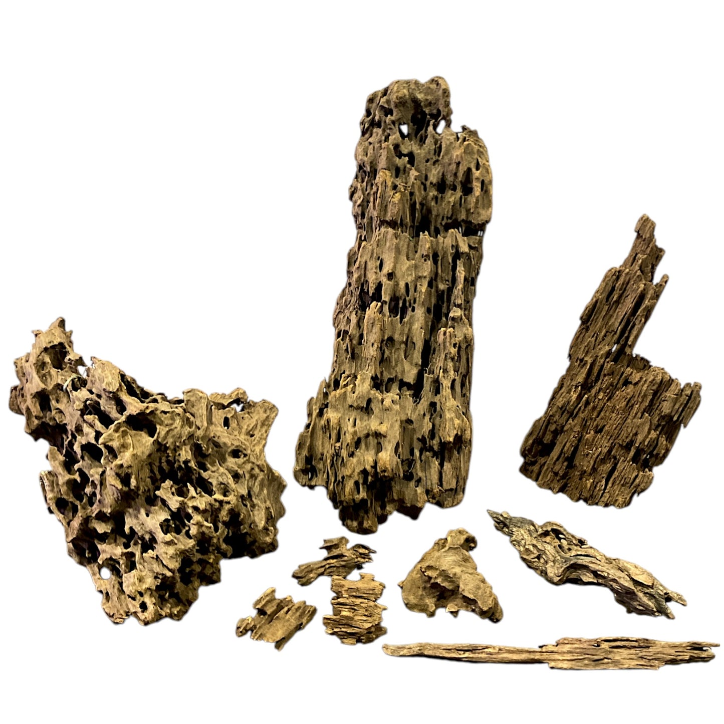 1lb. 5 to 6 inch - Cellular TEXTURE DRIFTWOOD - XS <15cm - Indonesia - #1 - Shrimp wood - Dragon wood