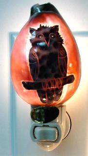 OWL CARVED COWRIE  Seashell NIGHT LIGHT White fixture