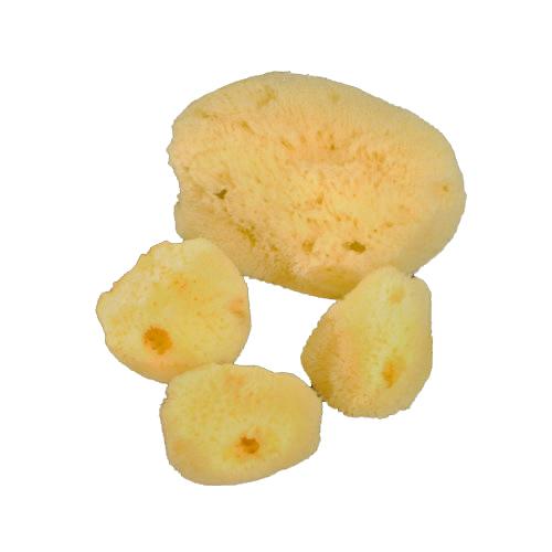 Sea Sponge 3 inch + Cosmetic - Natural - Bleached - Philippines