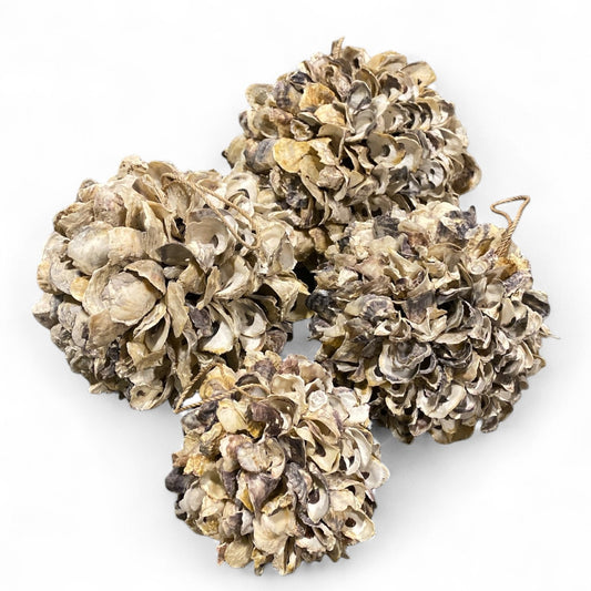 Talaba OYSTER SHELL DECO BALL with Rope Holder - 8 inch - Philippines