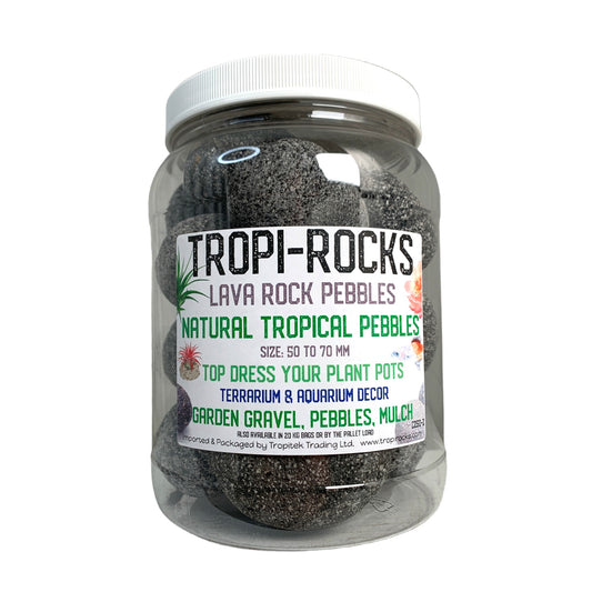 Black Lava Pebble 50 to 70 MM - 2360g Average - Medium PB2 JAR