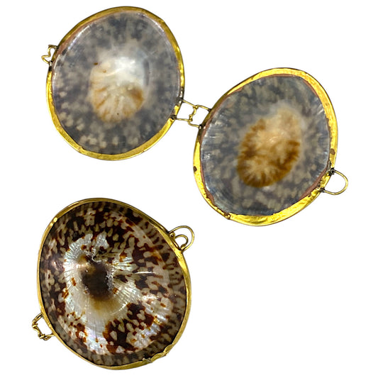 Polished Limpet Shell Coin - Smudge or Pill Boxes 2 - 3 inch