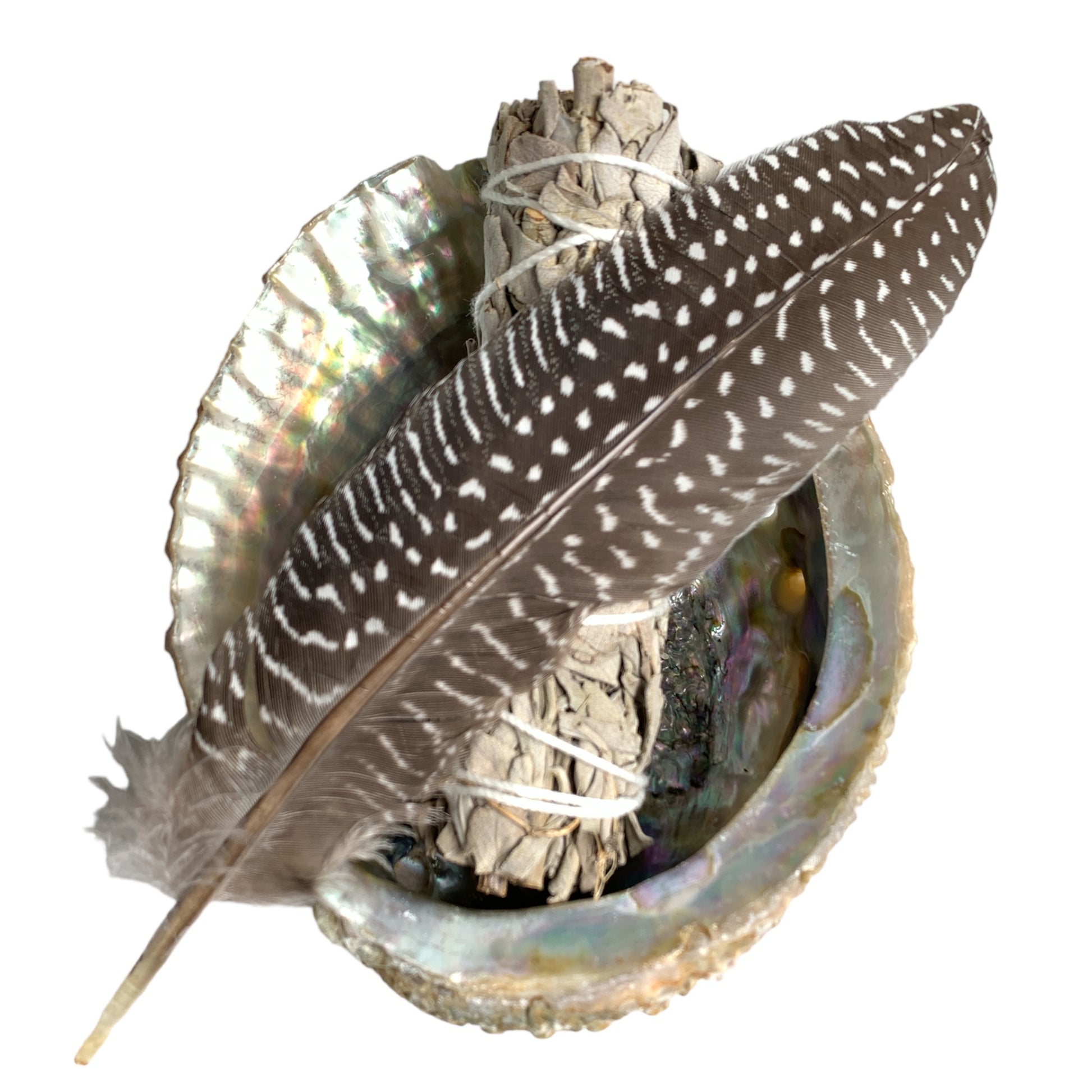 Smudge Kit - 5 Inch Pink Abalone Shell, 4 inch White Sage Bundle & Fea ...