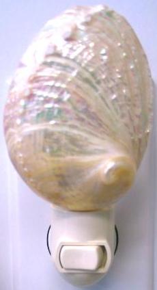 PEARLIZED ABALONE Shell NIGHTLIGHT