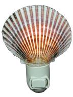 PURPLE PECTEN SCALLOP NIGHTLIGHT