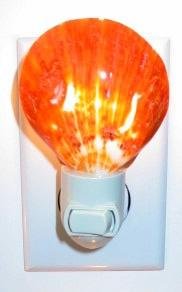 POLISHED SPONDYLUS BARBATUS NIGHTLIGHT