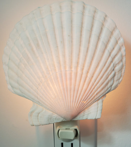 ENGLISH WHITE SCALLOP NIGHTLIGHT with White Fixture
