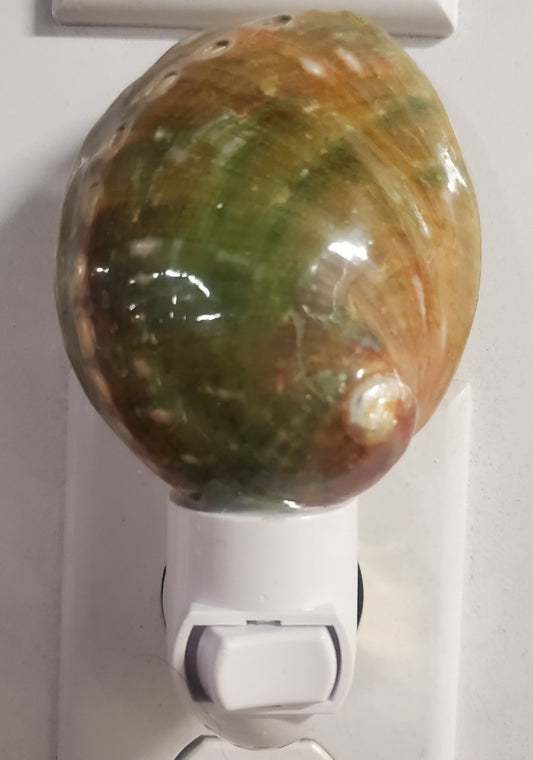 GREEN POLISHED ABALONE NIGHTLIGHT