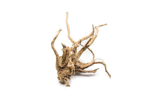 Spiderwood Driftwood (Large) Standard 17–25”