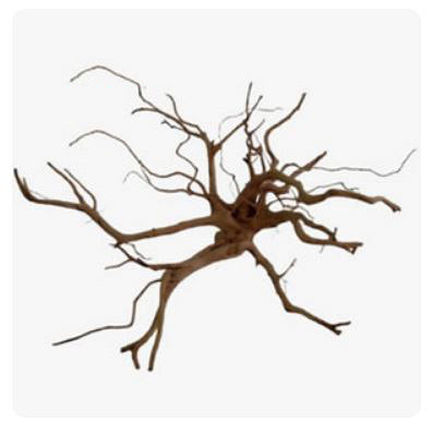 20 to 28 inch - 1lb. Spiderwood Driftwood -  50 to 70cm (Order quantity of pieces required. We will update the weight upon shipping.)