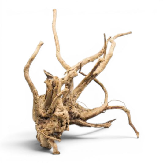 Spiderwood Driftwood (Medium) Standard 12–17" (30–40cm)