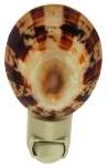 POLISHED LIMPET NIGHTLIGHT