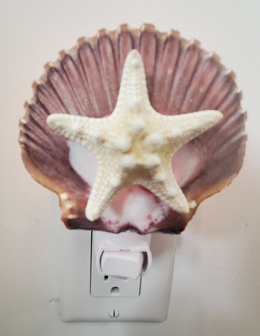 BROWN MEXICAN FLAT SCALLOP NIGHTLIGHT