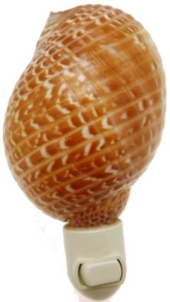 TONNA PEARDIX NIGHTLIGHT