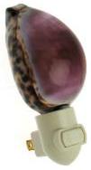 PURPLE TOP COWRIE NIGHTLIGHT