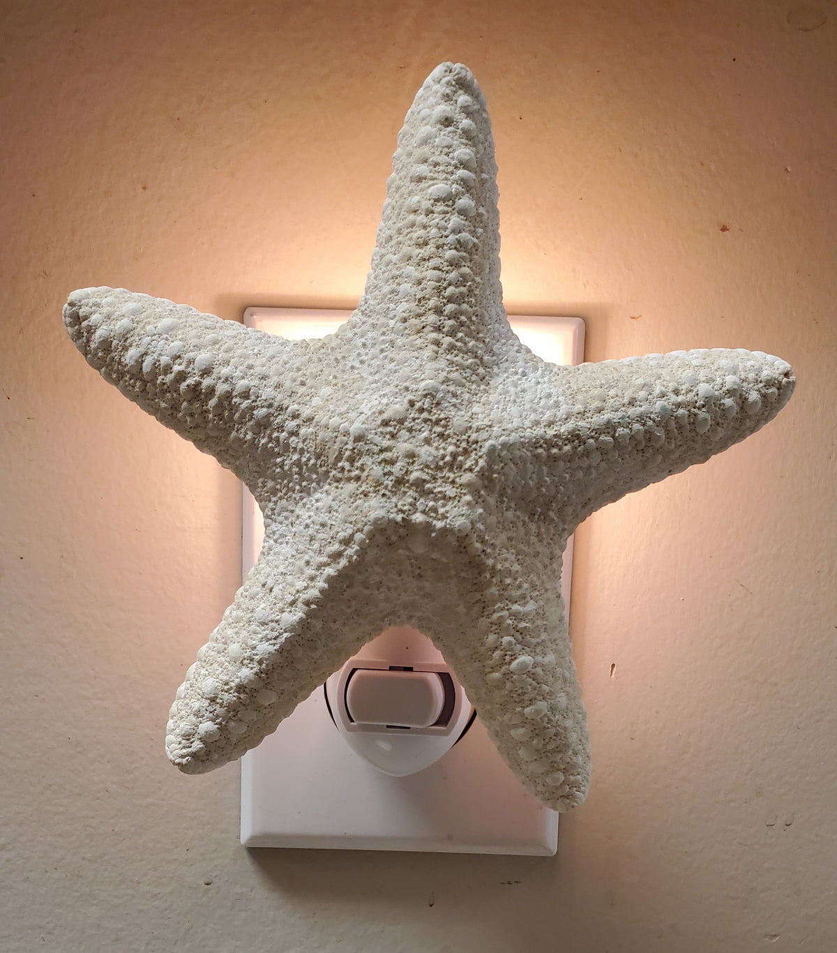 JUNGLE STARFISH  WHITE NIGHTLIGHTS 4" w/white fixture