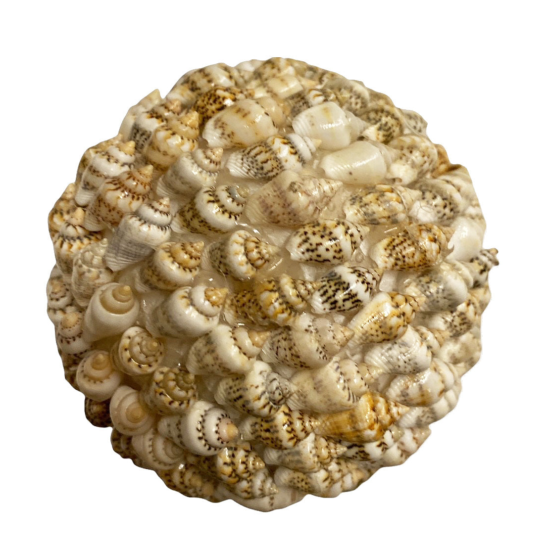 Ball Shaped Shell 4 Inch NASSA SHELL BALL – Tropitek-Wholesale
