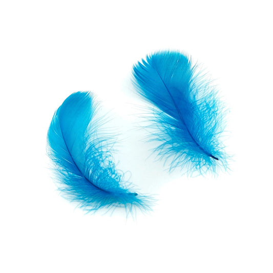 Goose Nagoire Coquille FEATHERS 3 to 4 inch -  Turquoise