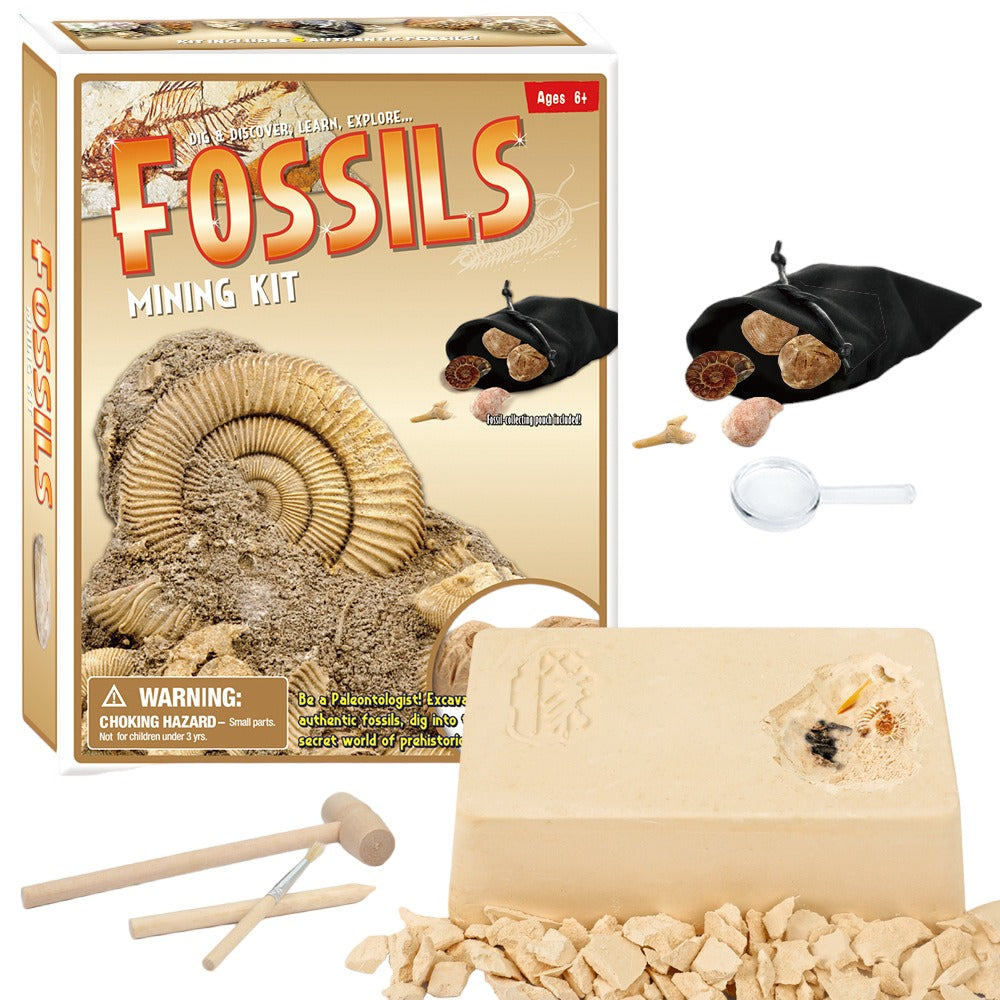 Fossils Mining Kit - Dig Your Own Fossils - NEW523