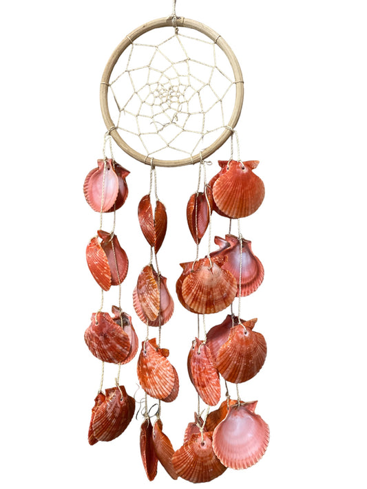 Dream Catcher Wind Chime - 6 inch Ring - with Red Pecten Scallop SEASHELLS - NEW723