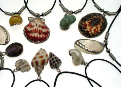 Silver Colour Plated Seashell Necklace