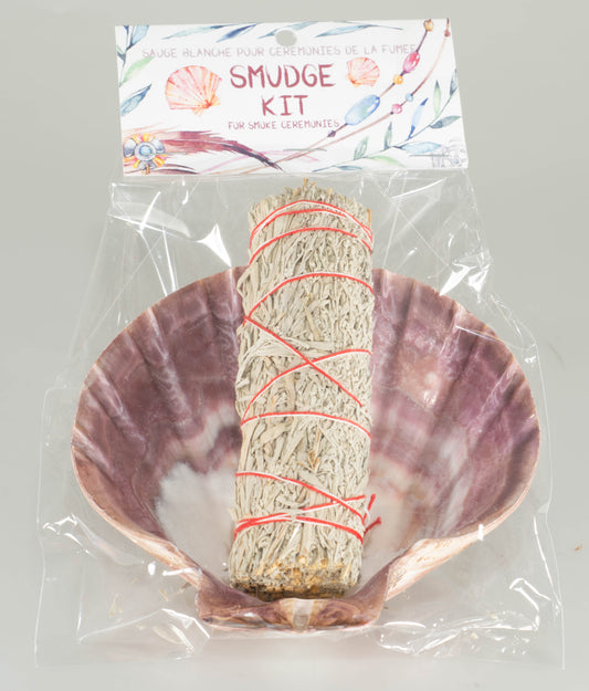 Smudge Kit - Lions Paw Clam Scallop Shell with 4 inch Blue Sage Smudge Stick