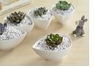 White Plant Pot Teardrop Size: 10.5 x 7.8 x 5 cm