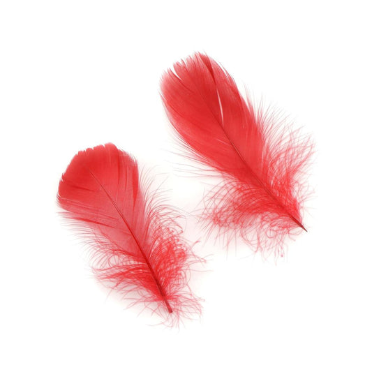 Goose Nagoire Coquille FEATHERS 3 to 4 inch - Red