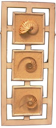 3 Way Cut NAUTILUS Shell WALL DECOR - TRIPLE Frame WHITEWASH - 10 x 24 inch