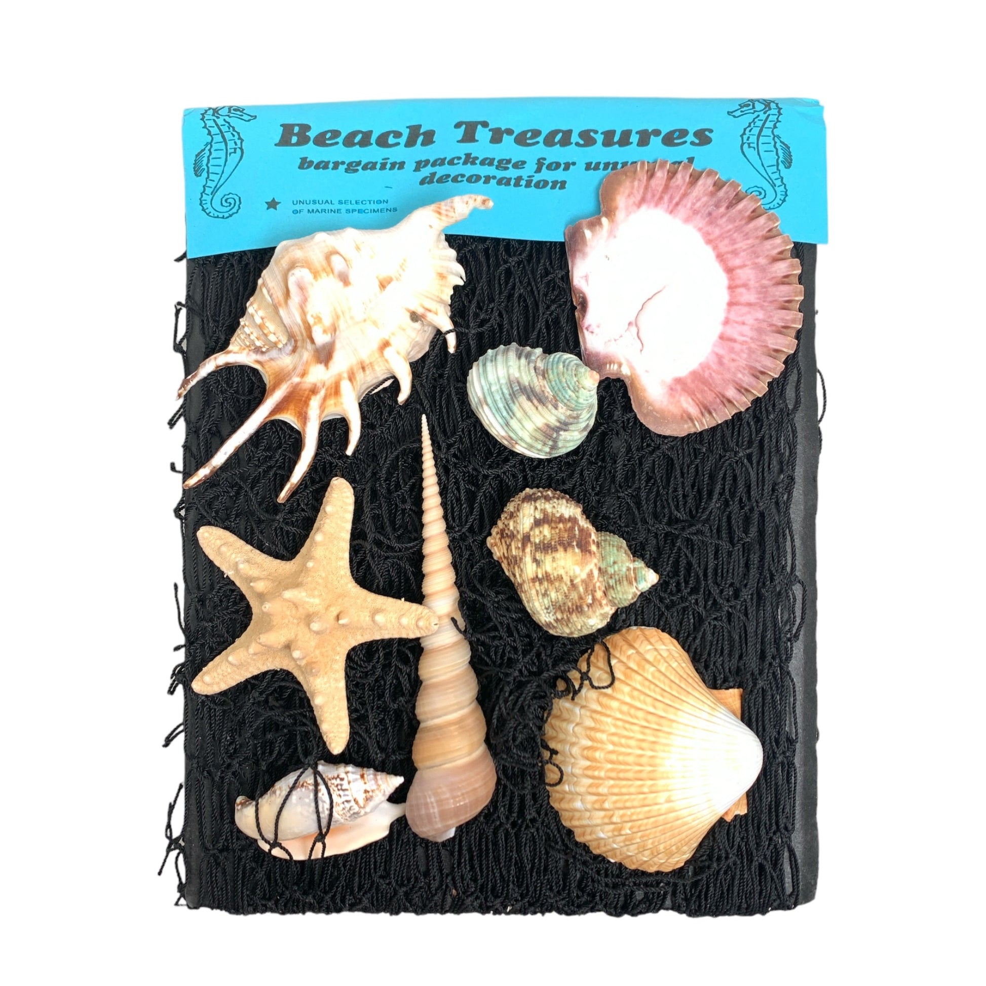 BEACHCOMBER DECOR KIT - SMALL WITH 5 x 7 FISHING NET AND SHELLS