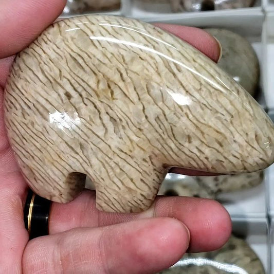 Abstract Bear - Zebradorite - Rare Carving from Madagascar