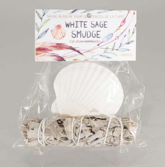 Smudge Kit - China White Shell  w/ White Sage Stick 4 inch