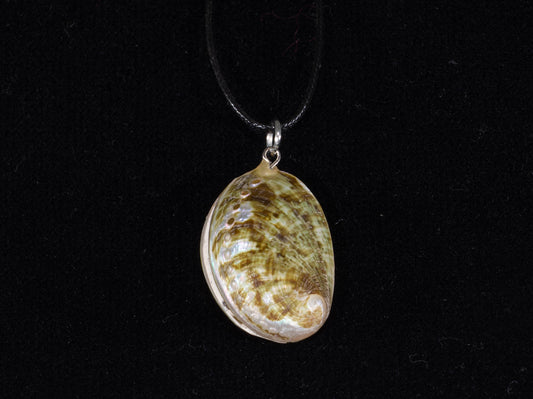 Polished Double Sided Abalone Shell Pendant Only (No Hole)