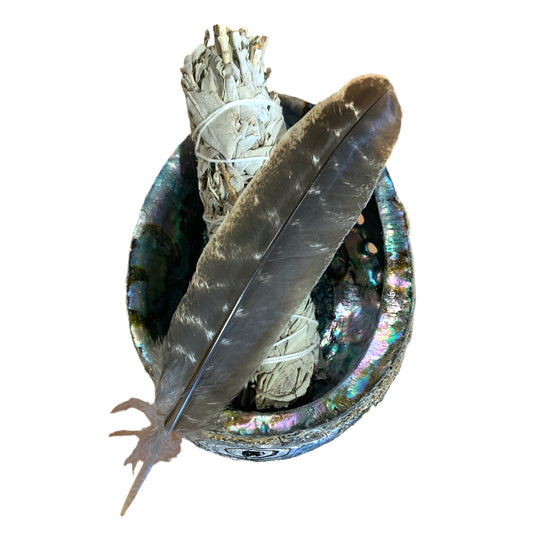 Smudge Kit - Giant 6.5 inch Green Abalone Shell With 6 inch White Sage & Turkey Feather with Header