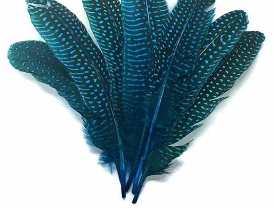 GUINEA FOUL WING FEATHERS NATURAL 6 to 8 inch - Turquoise