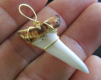 Wired Shark Tooth Mako Pendant - Burnt 1.25 inch