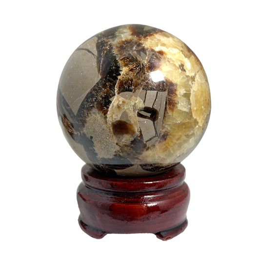 SEPTARIAN - 40-70mm - Sphere - Price per gram per piece (B2B ordering 1 = 1 piece so we charge Ex. 60g = $9.60 each)