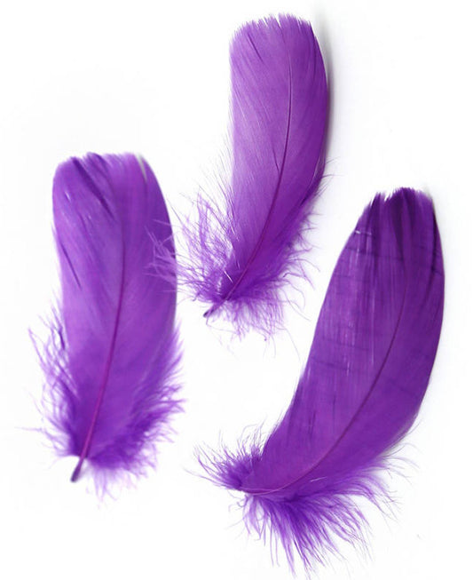 Goose Nagoire Coquille FEATHERS 3 to 4 inch - Purple