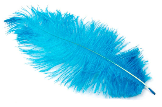 Ostrich FEATHERS 6 to 8 inch - Turquoise