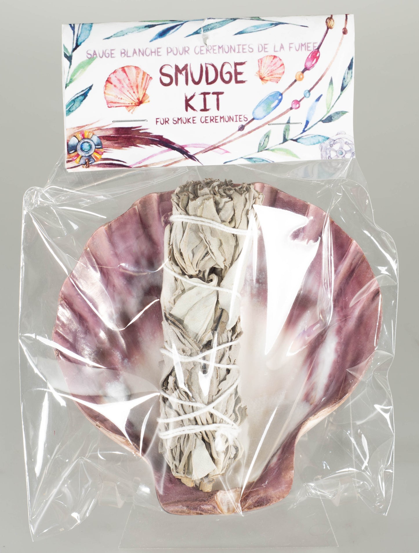 Smudge Kit - Lions Paw Clam Scallop Shell with 4 inch White Sage Smudge Stick