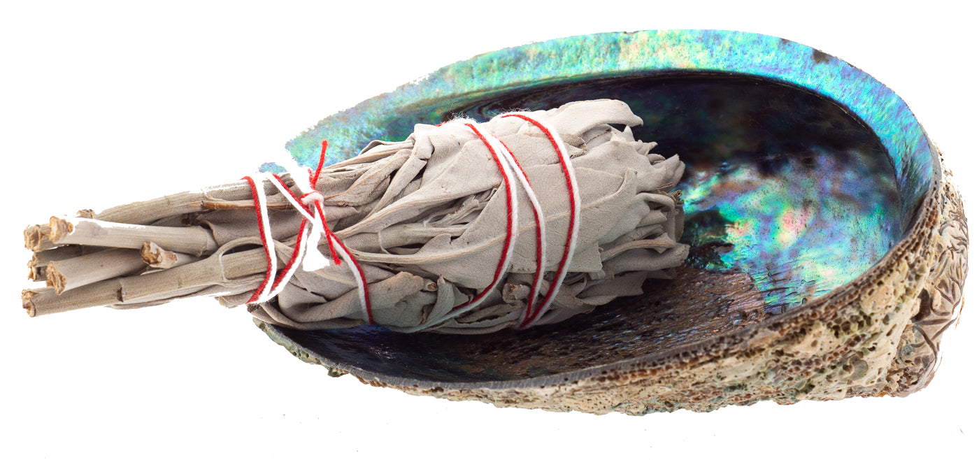 SMUDGE KIT - Paua Abalone With White Sage 4 inch Torch Style - With Header
