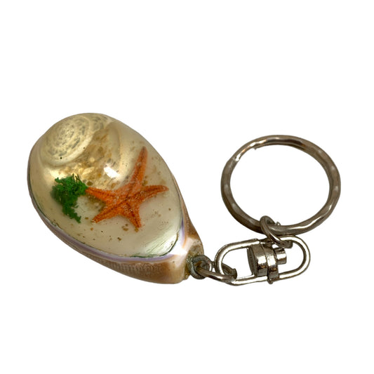 LAMINATED COWRIE CYPRAEA SHELL KEYRING