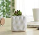 White Plant Pot Dimpled Size: 6.2 x 6.2 x 6.5 cm / 2.5 inch Cube