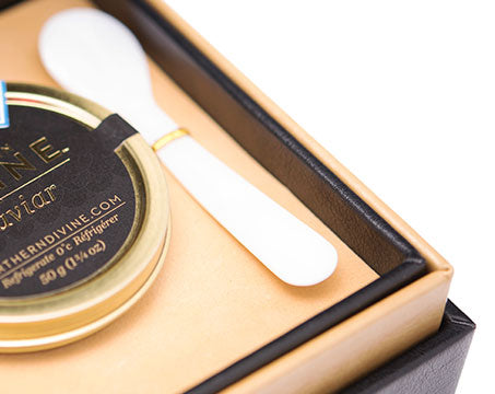 MOP SEASHELL Caviar SPOON 7 cm long - NEW1020