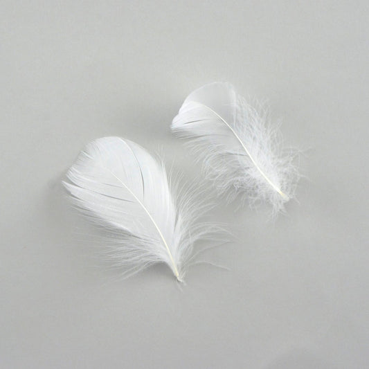 Goose Nagoire Coquille FEATHERS 3 to 4 inch - White