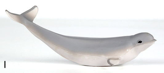 Beluga Whale - Model Figure Toys ABS Plastic -  13x6x5cm - NEW920