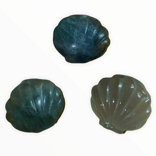 Fluorite Small Clam Shell - 20-23mm - Price Each - China - NEW922